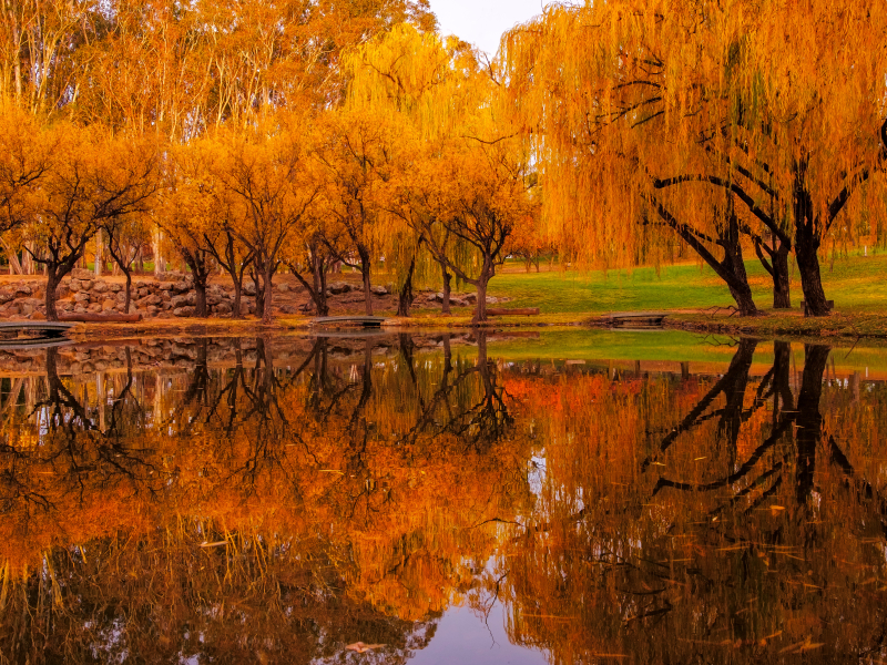 Yarralumla 