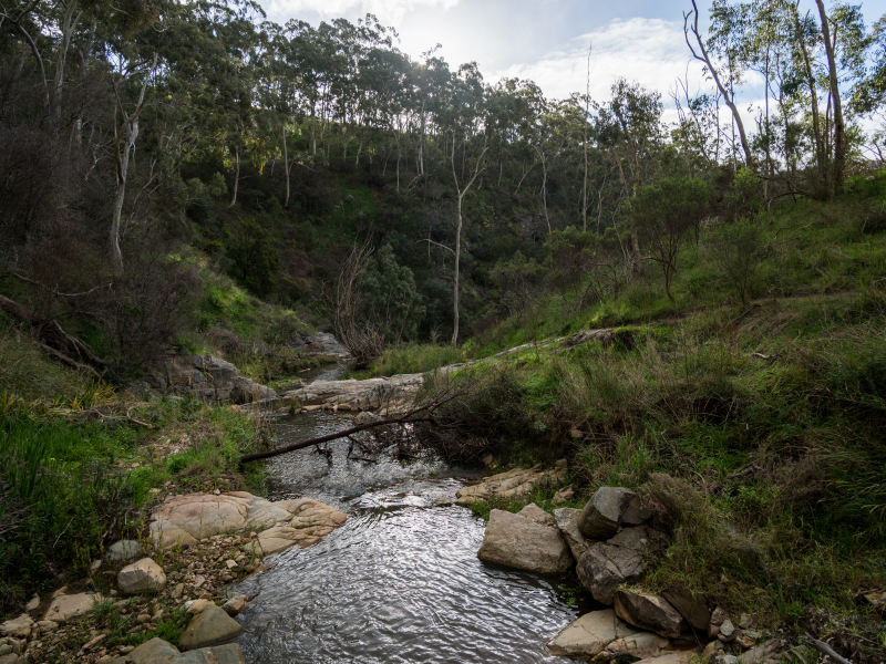 Hiking at Morialta Conservation Park - Adelaide day trips