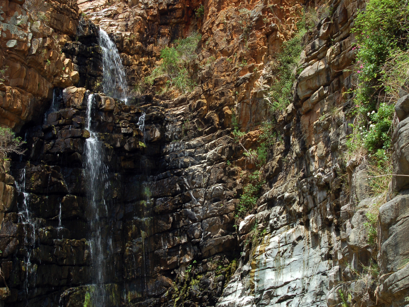 Morialta Waterfalls things to do in Adelaide