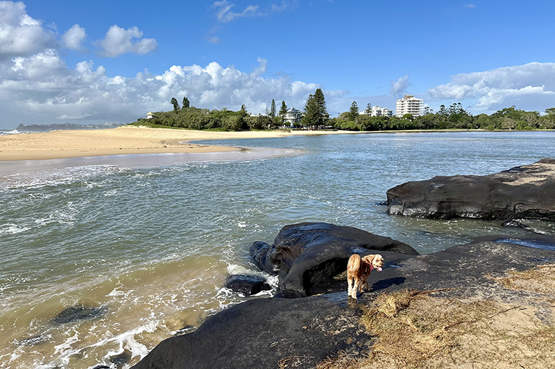 Sunshine Coast, Wurtulla, beaches