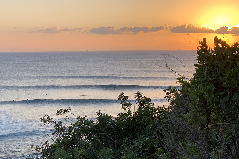 Surfing at Sunshine Coast
