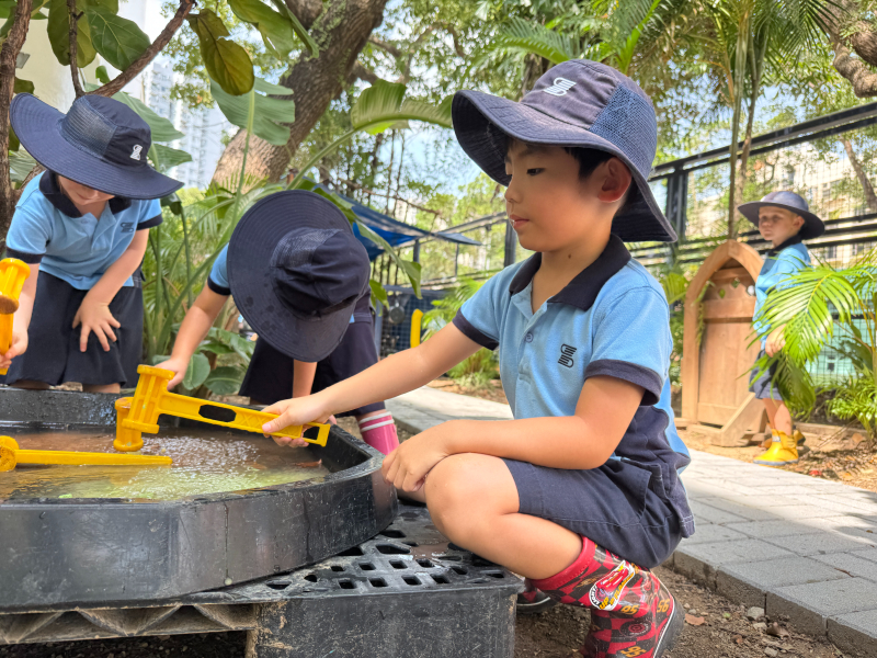 Discovery Bay International School