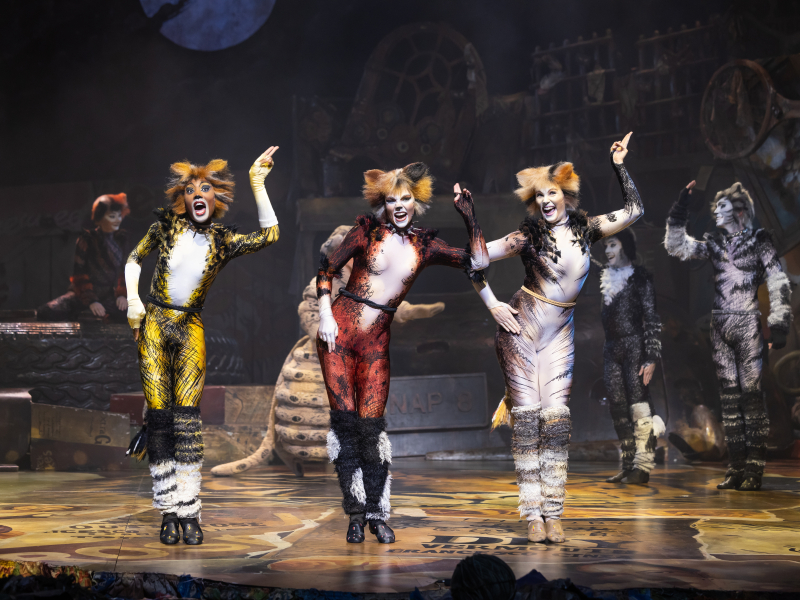 Cats Musical Cats Musical