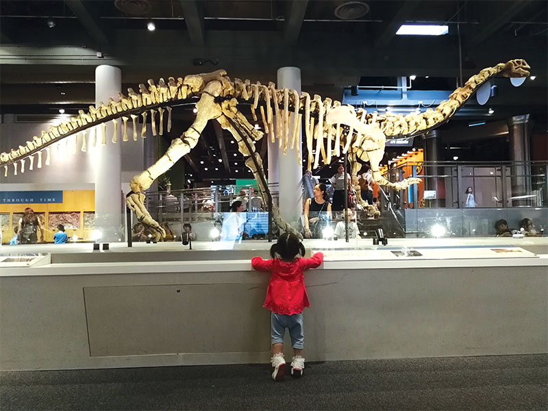 Little Monkey, where to find kid-friendly facilities, parks and playgrounds in Hong Kong