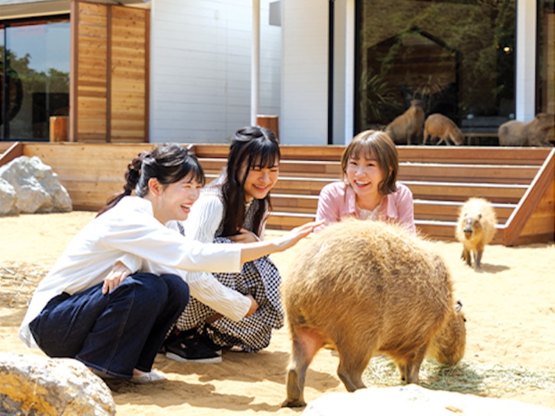 New hotels, Hotel deals 