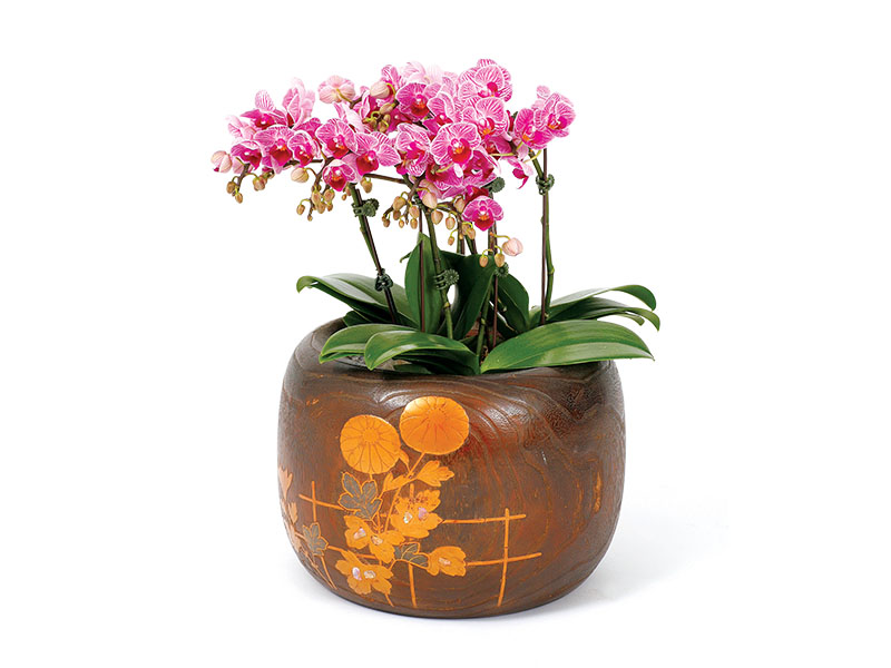 Asian furniture and décor - blue and white porcelain jars from Altfield Gallery