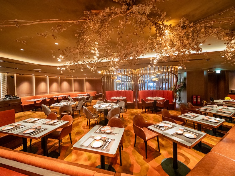 new restuarants, hong kong restaurants, new menu
