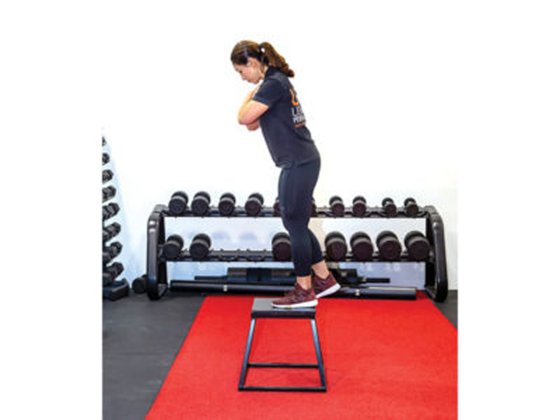 Exercises you can do at home - circuit workout - Ultimate Performance