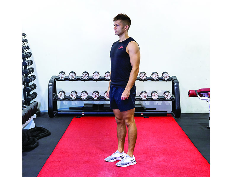 full body workout, calorie burning exercises, Home workout from Ultimate performance -Knee-Sprint