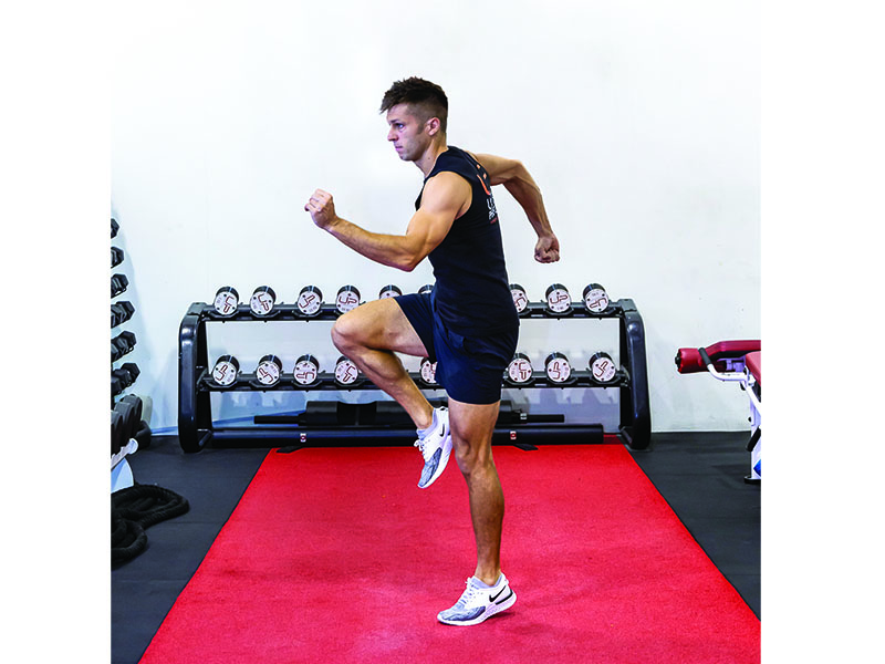 Knee-Sprint, calorie burning exercises