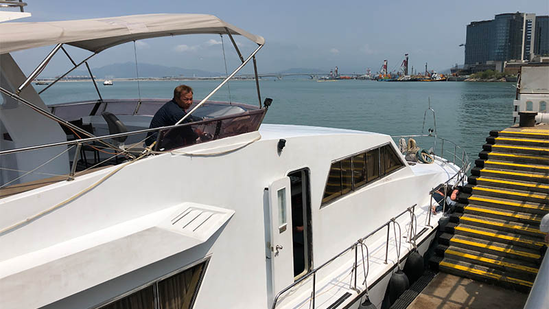 Pink Dolphin Watch Tour