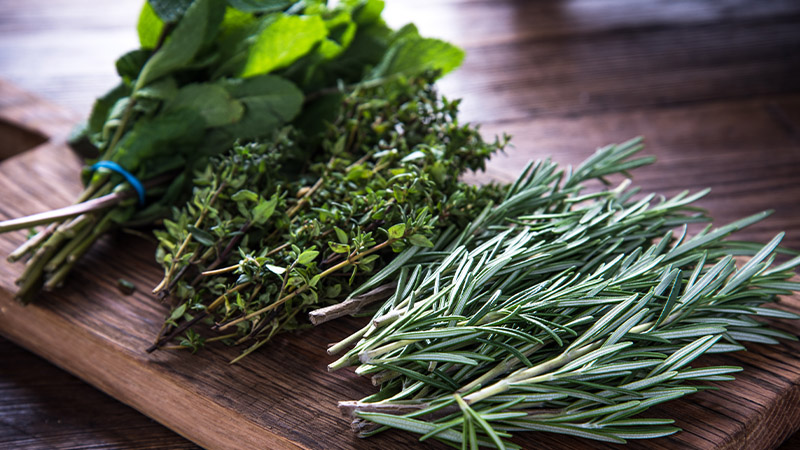 Gardening: growing herbs and vegetables in Hong Kong