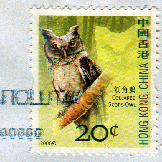 Birds of Hong Kong