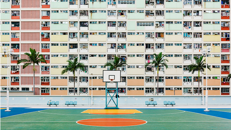 Trees of Hong Kong - palm trees