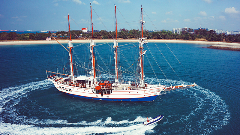 Weekend getaway -Things to do in SIngapore - Royal Albatross