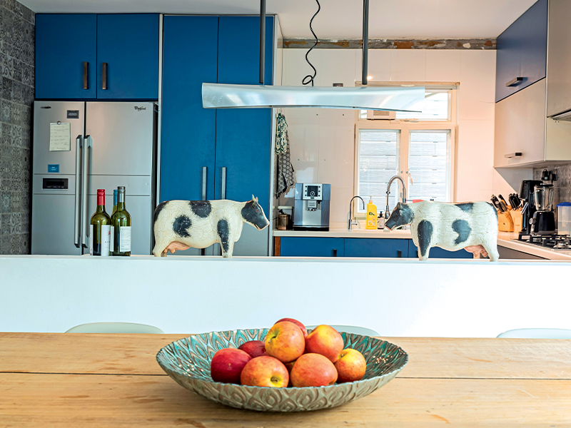 Home renovation - village house - kitchen