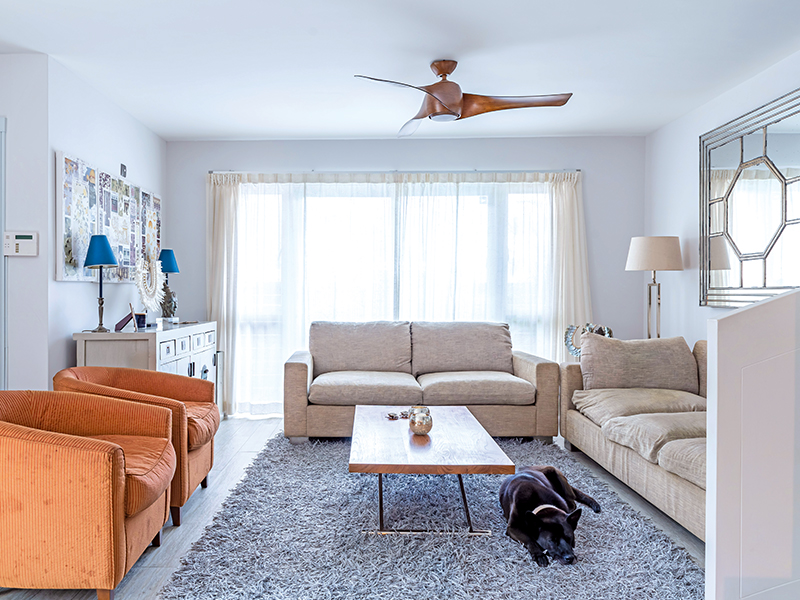 Village house in Hong Kong - renovation - living room