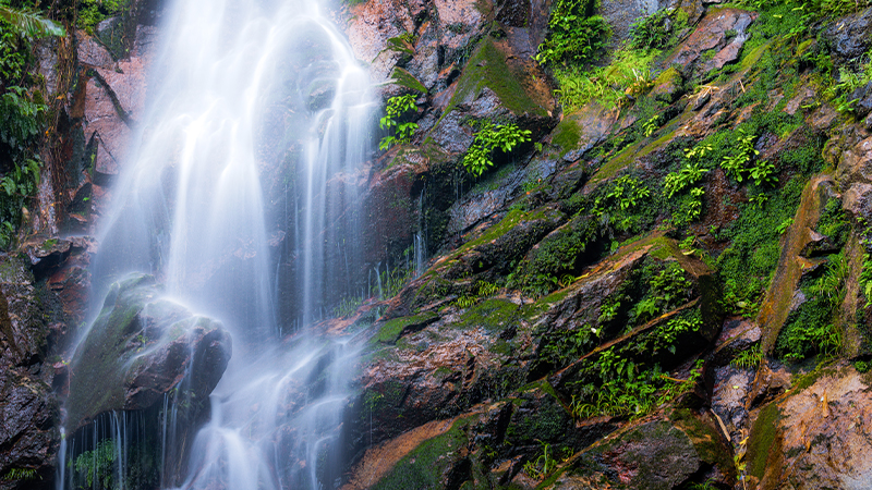 Ng Tung Chai Waterfalls