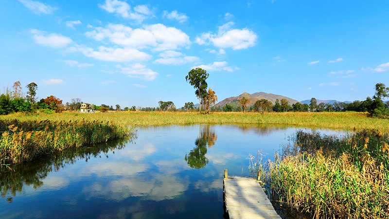country parks in Hong Kong -Hong Kong Wetland Park