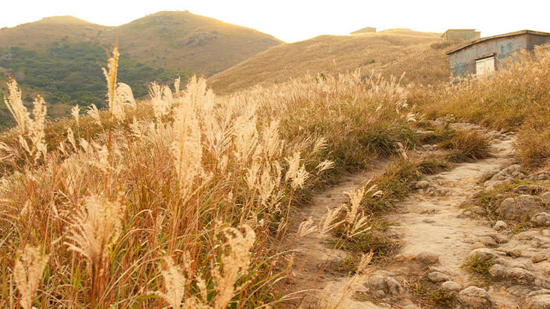 Lantau South Country Park