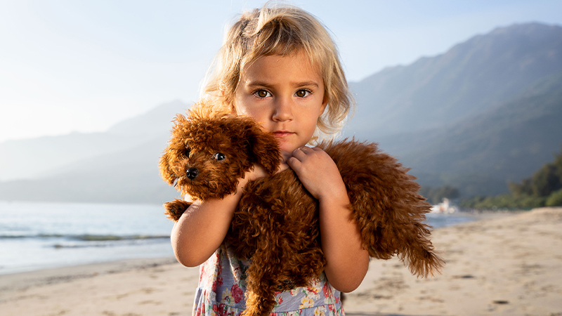 pet photgraphy hong kong - Mihaela Tudor