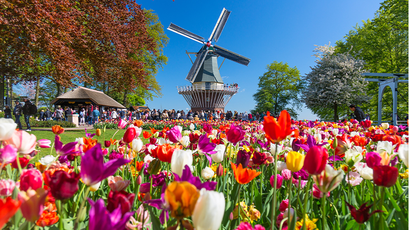 Keukenhof Gardens Lisse, Netherlands