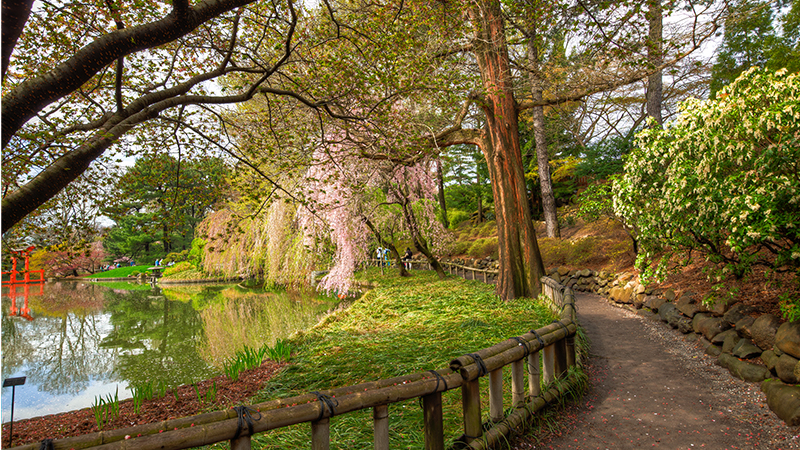 New York Botanical Garden New York, USA