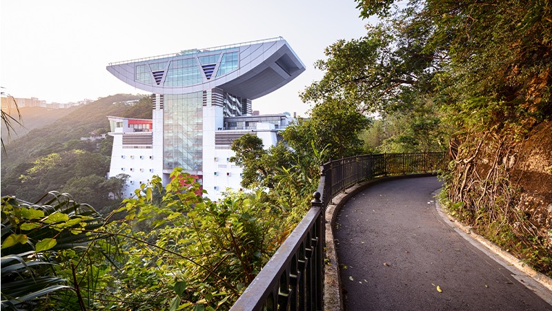 Hong Kong activities for newcomers - The Peak