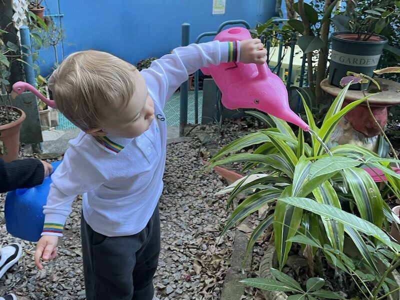 kindergartens in hong kong