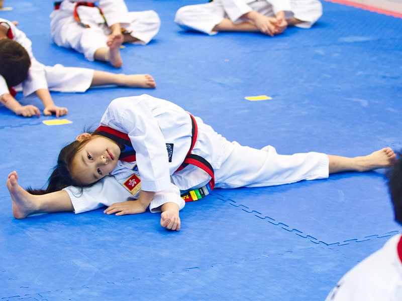 Martial arts - taekwondo