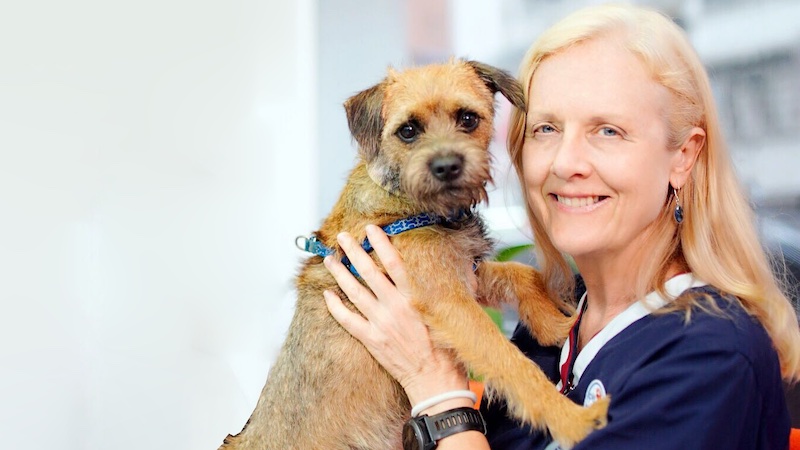 puppy proof your home, positive reinforcement