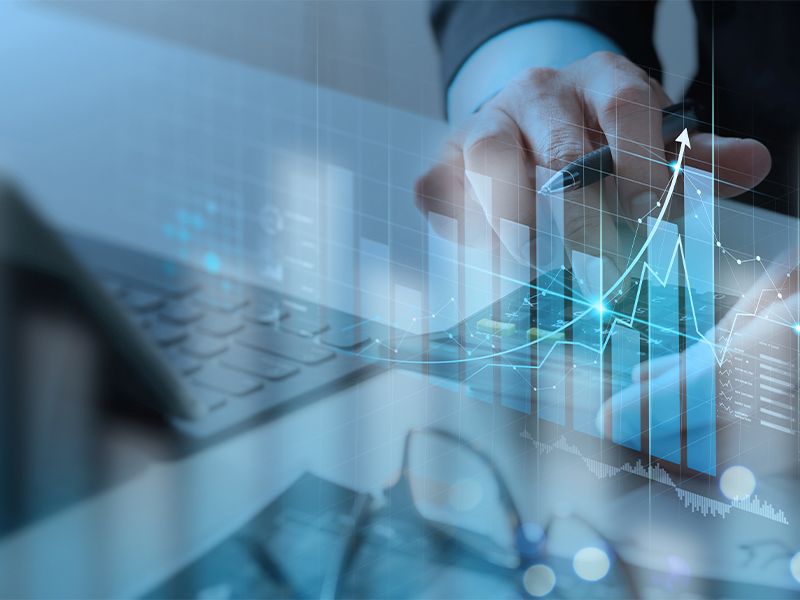 BMP wealth, financial risk