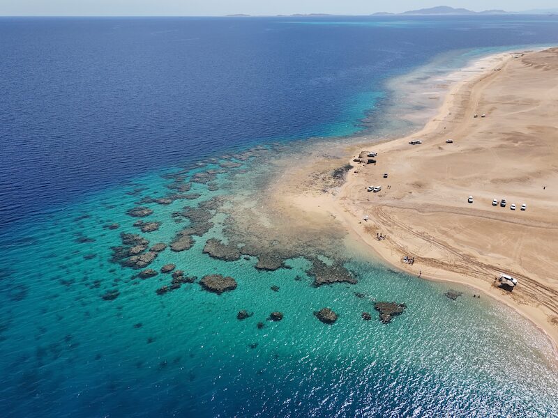 red sea diving resort