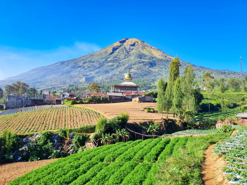 Gunung