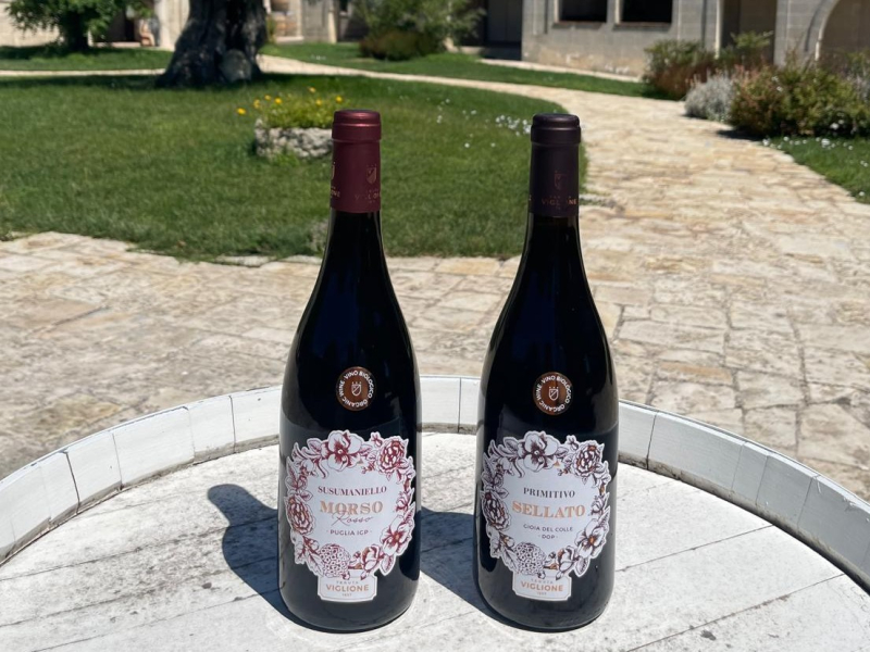 italian wine