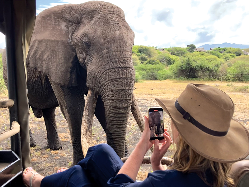 africa travel holidays