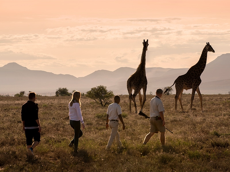 Safari lodges in South Africa