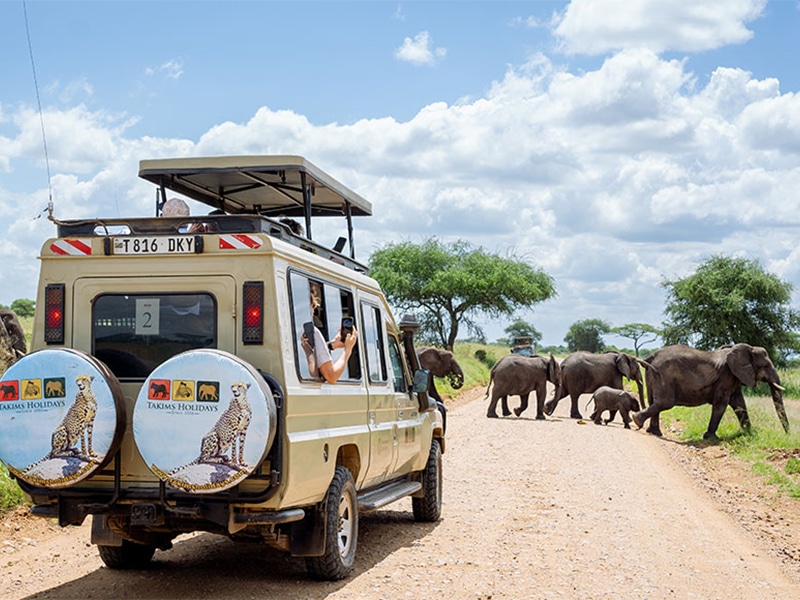 Safaris in Tanzania