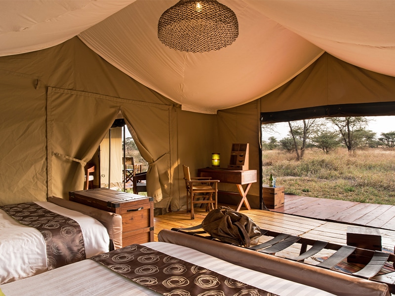 Safaris in Tanzania