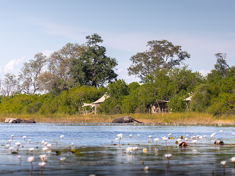 Safaris in Botswana