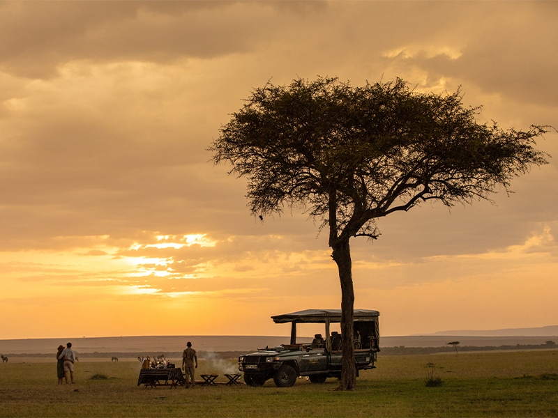 safaris in kenya