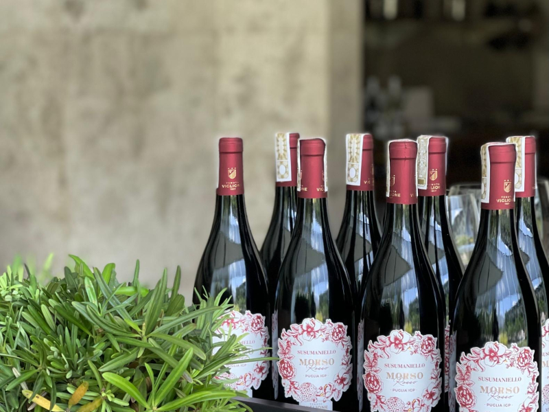 italian wines