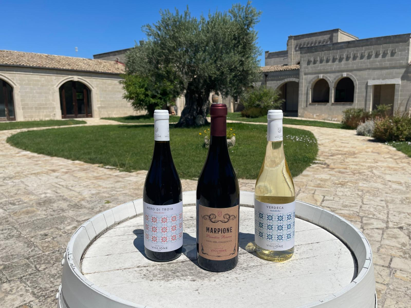 italian wine by Tenuta Viglione
