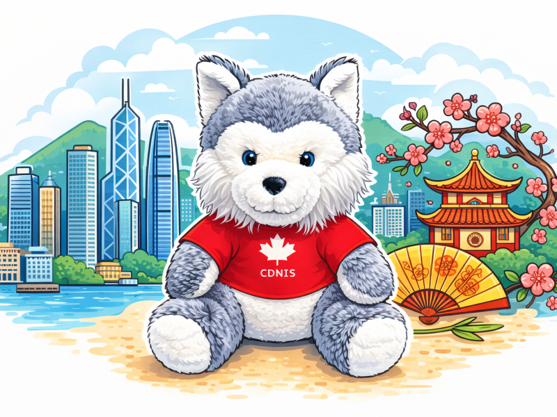 Timba’s Great Adventures