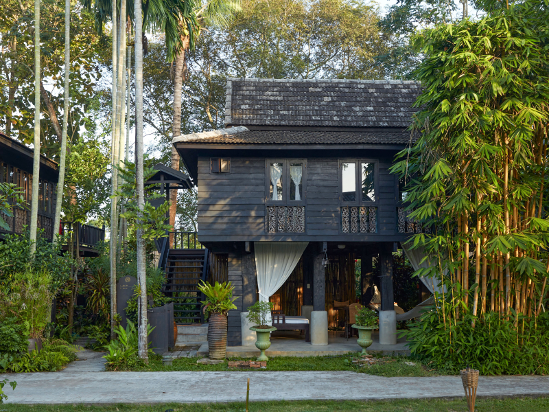 anxiety depression and loneliness help from the cabin thailand