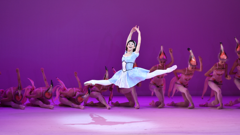 Venus Villa dance academy