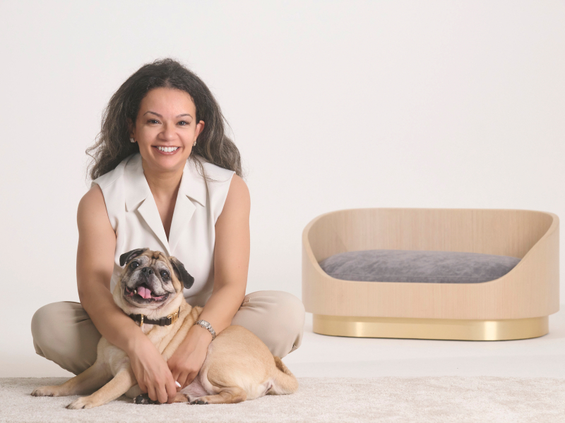 dog bed in hong kong dog Britta butler