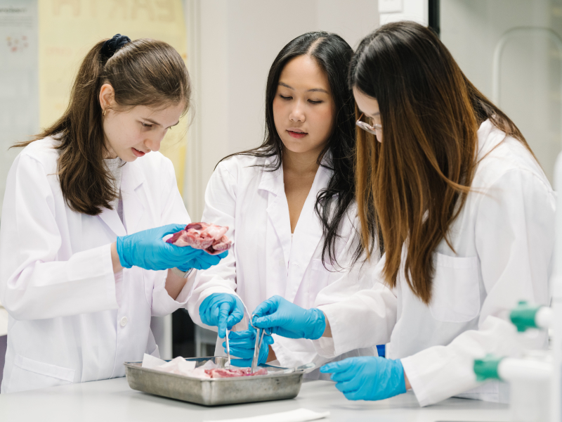 News from Malvern College Hong Kong