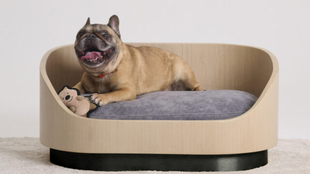 dog bed in hong kong