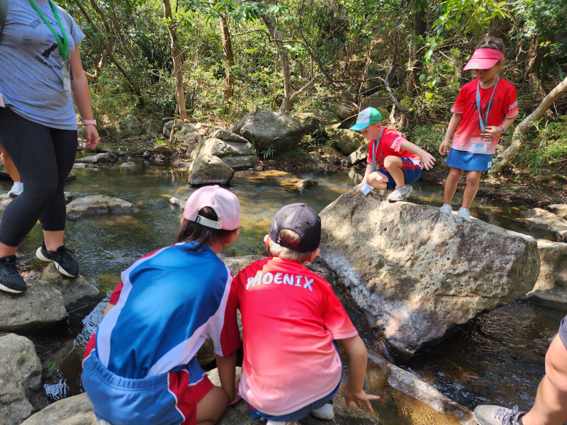 interactive learning in HKA